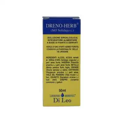 Di Leo Dreno-Herb S65 Solidago 50 ml | Farma di Fiducia
