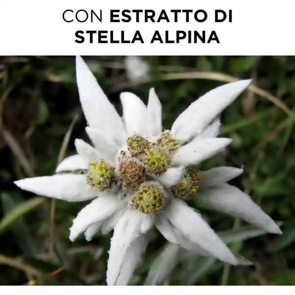 PHYTOARGENT SHAMPOO | Farma di Fiducia