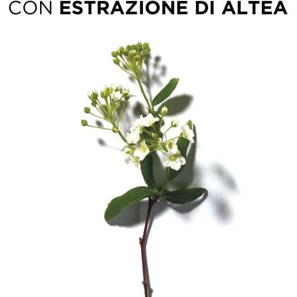 Phyto Phytodefrisant - 250 ml | Farma di Fiducia
