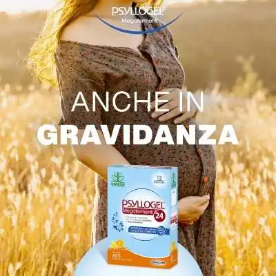 PSYLLOGEL Megafermenti24 12 Bustine | %shop-name%
