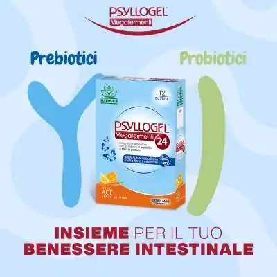 PSYLLOGEL Megafermenti24 12 Bustine | %shop-name%
