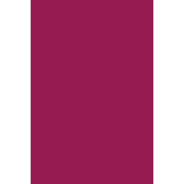 Andreia Professional Pocket - Nail Polish N° 16 - Magenta