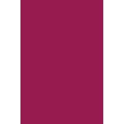 Andreia Professional Pocket - Nail Polish N° 16 - Magenta