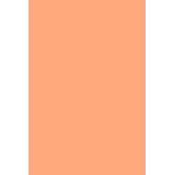Andreia Professional Pocket Nail Polish N° 45 Salmone / Nude 2
