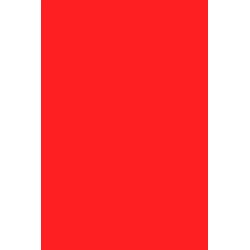 Andreia Professional Pocket - Nail Polish N° 43 - Red Orange 2