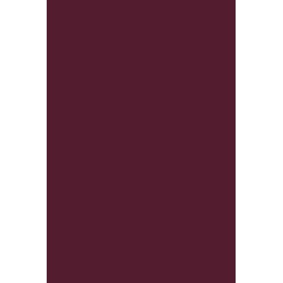 Andreia Professional Pocket - Nail Polish N° 68 - Bordeaux