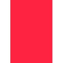 Andreia Pocket Nail Polish 109 - Rosso neon 2
