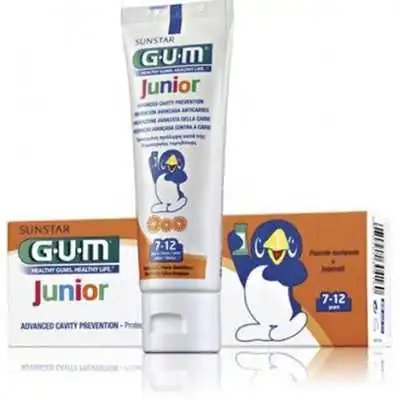GUM DENTIFRICIO 7/12