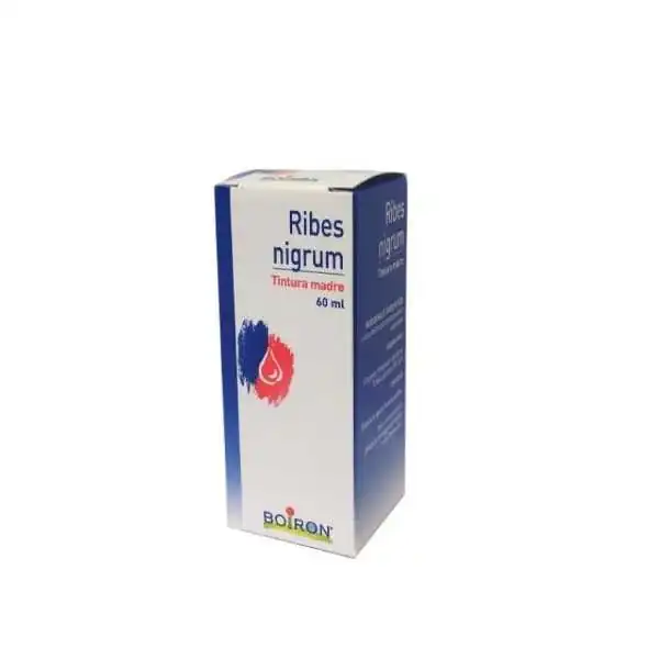 %shop-name%%separator%%product-name%