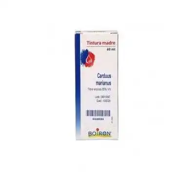 %shop-name%%separator%%product-name%