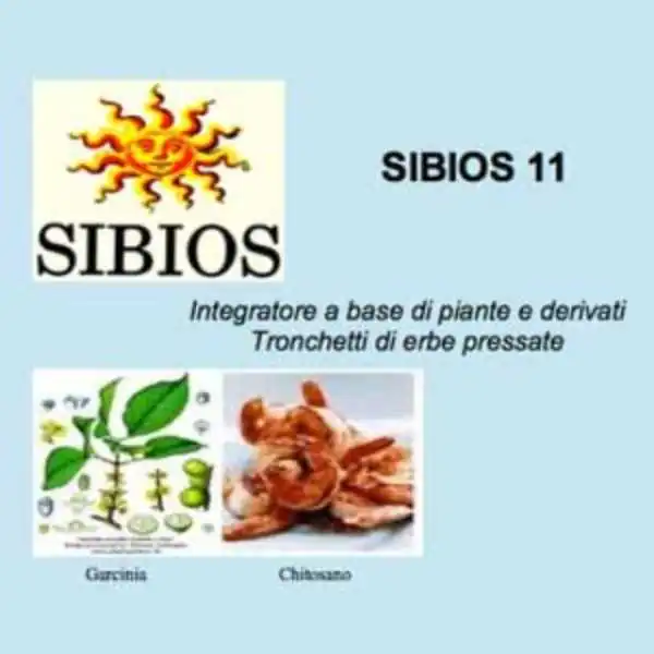 SIBIOS 11 TRONCHETTI 25 GRAMMI - Dislipidemie ed eccessi alimentari. Cardioprotettivo, BIOLOGICA - SIBIOS