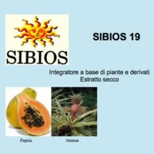 SIBIOS 19 Tronchetti 25 Grammi Apparato digerente, stimolazione delle funzioni pancreatiche, BIOLOGICA - SIBIOS