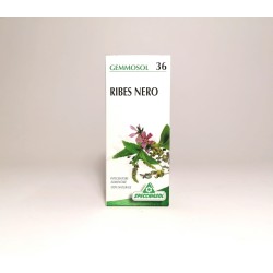 Specchiasol -  GEMMOSOL 36 - Ribes Nero - 100ml