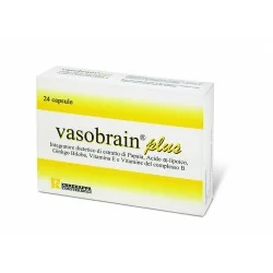 VASOBRAIN PLUS 24 CAPSULE, ERREKAPPA EUROTERAPICI