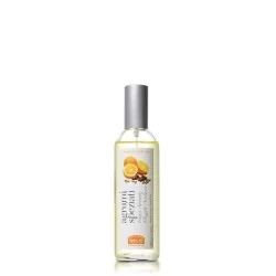 Helan - agrumi speziati - Fragranza per l'ambiente - 100ml 2