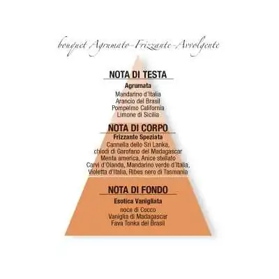Helan - agrumi speziati - Fragranza per l'ambiente - 100ml