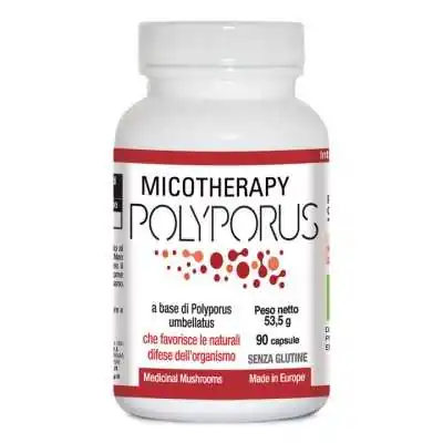 AVD Micotherapy Polyporus 90 cps | Farma di Fiducia
