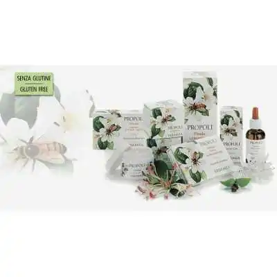 ERBAMEA Propoli Fluido Analcolico 30 ml, ERBAMEA