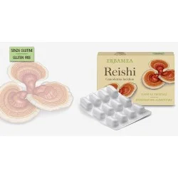 ERBAMEA REISHI COMPRESSE, ERBAMEA