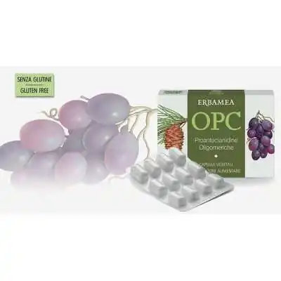ERBAMEA- OPC Proantocianidine oligomeriche, ERBAMEA