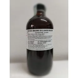 Tintura madre di Gingko Biloba 1l | Risparmia in Farmacia