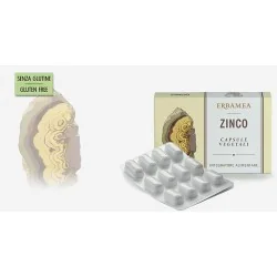 ERBAMEA- ZINCO capsule, ERBAMEA
