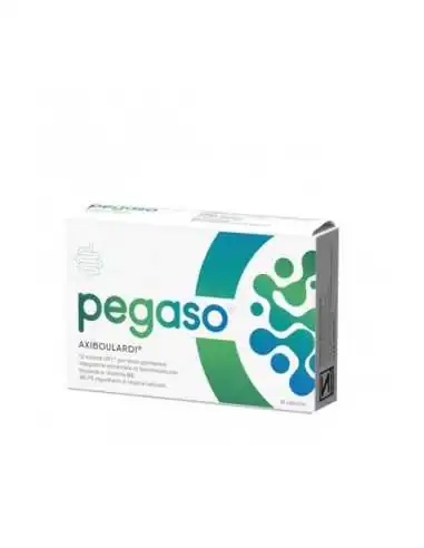 PEGASO AXIBOULARDI 14 CAPSULE