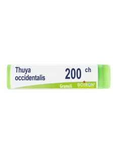 BOIRON® Thuya Occidentalis 200ch Monodose