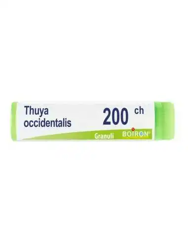 BOIRON® Thuya Occidentalis 200ch Monodose