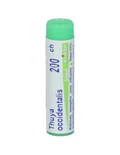 BOIRON® Thuya Occidentalis 200ch Monodose 2