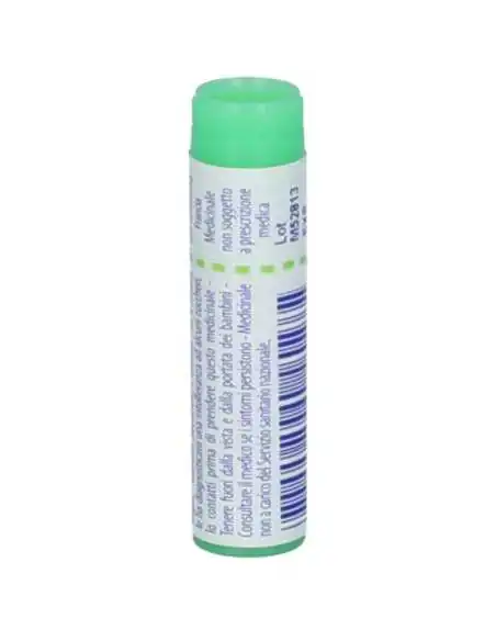 BOIRON® Thuya Occidentalis 200ch Monodose
