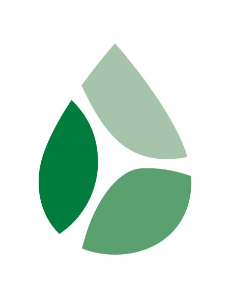 WaterFirst - Kiwi,Bergamotto,Guava - 12 Stick