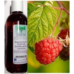 GLAM&amp;PHARMA SHAMPOO-DOCCIA IDRATANTE LAMPONE 500 ML, GLAM&amp;amp;PHARMA