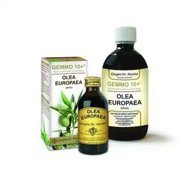 DR. GIORGINI GEMMO 10+ Olivo 500 ml liquido analcoolico, Dr Giorgini