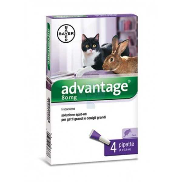 BAYER ADVANTAGE 4 PIPETTE 80mg 0,8ML SPOT-ON, Bayer