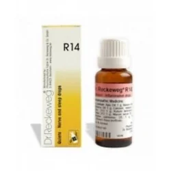 DR.RECKEWEG R14 GOCCE 22ML, DR. RECKEWEG