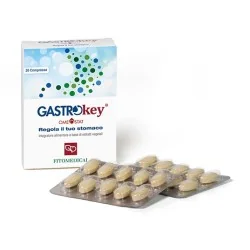 Gastrokey Omeostat, 