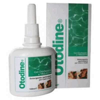 Otodine Soluzione Auricolare 100ml%separator%%shop-name%