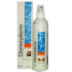 ICF CLOREXYDERM SOLUZIONE SPRAY 250ml, Icf Prodotti Veterinari