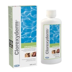 ICF CLOREXYDERM SHAMPOO DISINFETTANTE 250ml, Icf Prodotti Veterinari