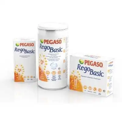 PEGASO REGOBASIC - 12 Bustine, Pegaso