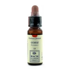 Erbavita Gorse 13 10 ml | Farma di Fiducia