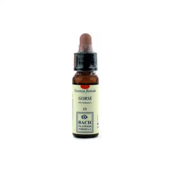Erbavita Gorse 13 10 ml | Farma di Fiducia