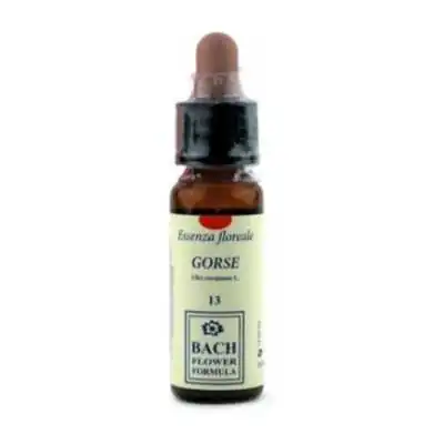 Erbavita Gorse 13 10 ml | Farma di Fiducia